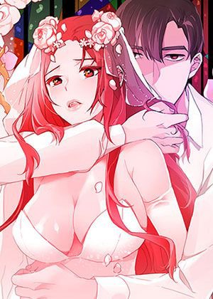 完结漫画：钢之炼金术师